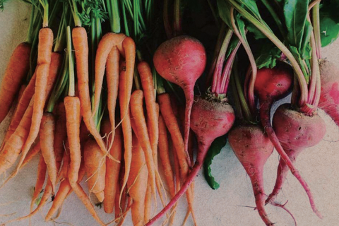 Carrots, parsnips & root vegetables