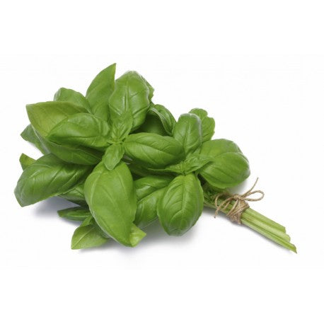 Basil Bunch