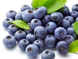 Berries - Blueberries Punnet