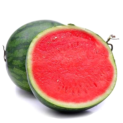 Melon - Watermelon
