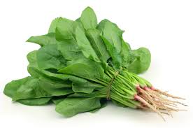 Spinach - English Bunch