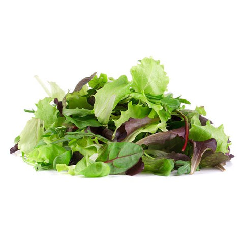 Mixed Lettuce - Salad Mix