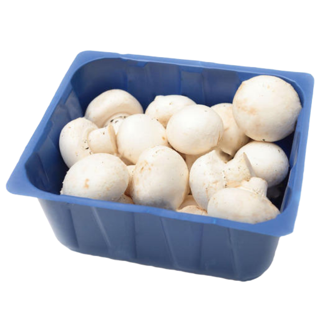 Mushrooms - Small Button Mushroom Pack